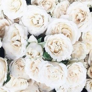 Meet your Posher, C. nichole